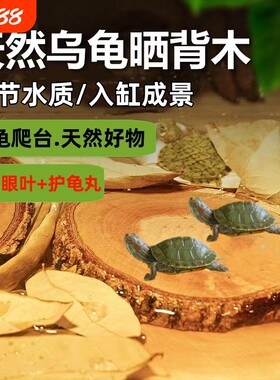 龙眼木乌龟晒背台|超1000次加购