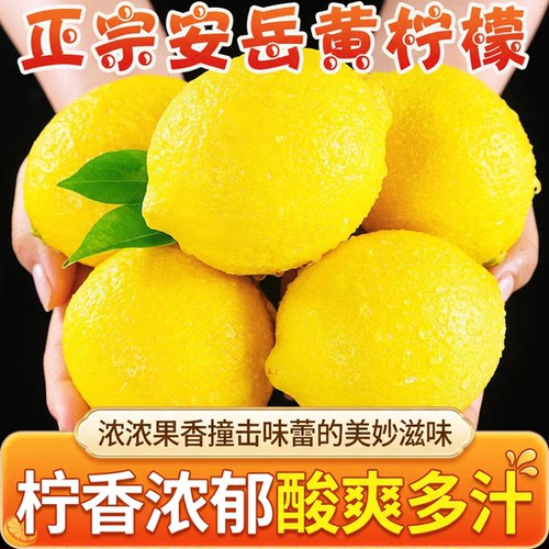 安岳黄柠檬一二级新鲜水果皮薄整箱商用四川青柠檬奶茶店专用水果