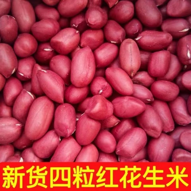 红皮花生米农家自产花生红衣花生仁袋装500g批发价新货新鲜晒干