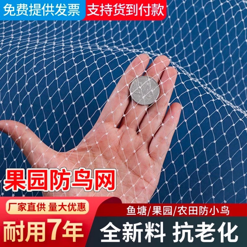 新款果园防鸟网大棚驱鸟网鱼塘养殖网樱桃草莓葡萄天网尼龙防鸟网