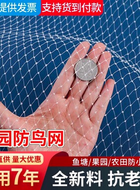 果园防鸟网大棚驱鸟网养殖网草莓葡萄天网尼龙小鸟果树鱼塘菜园
