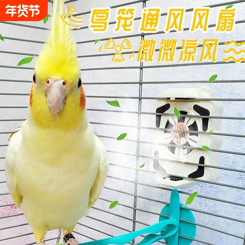 鸟笼通风除臭散热风扇鹦鹉鸟夏天避暑纳凉配件玄凤虎皮八哥,宠物/宠物食品及用品,鸟禽其他,淘宝优惠券,粉丝福利购,淘宝优惠卷