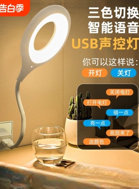 人工智能语音台灯控制灯usb声控灯感应灯led插口小夜灯床头灯插电既唤醒帮手夜间充电宿舍可调节护眼节能两个