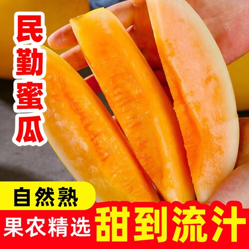甘肃民勤黄河蜜瓜甜瓜