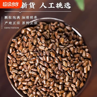 精选正宗云南决明子生决明子决明枕泡水煮水泡茶产地直发无杂质