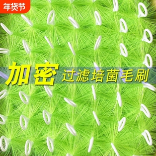 鱼池毛刷过滤锦鲤池底滤滤材水族箱过滤材料304钢1.6芯50支箱培菌