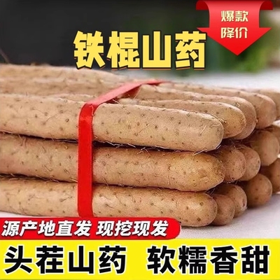 正宗新鲜现挖铁棍山药5斤淮山药