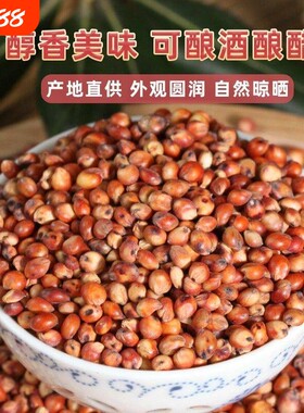 贵州农家红高粱酿酒喂鸽子包邮