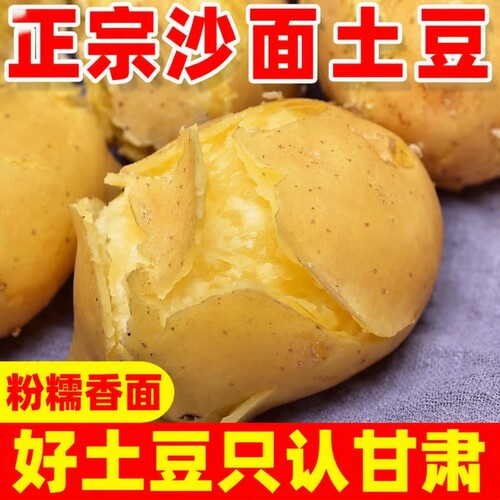 甘肃定西土豆新鲜黄心沙地粉糯