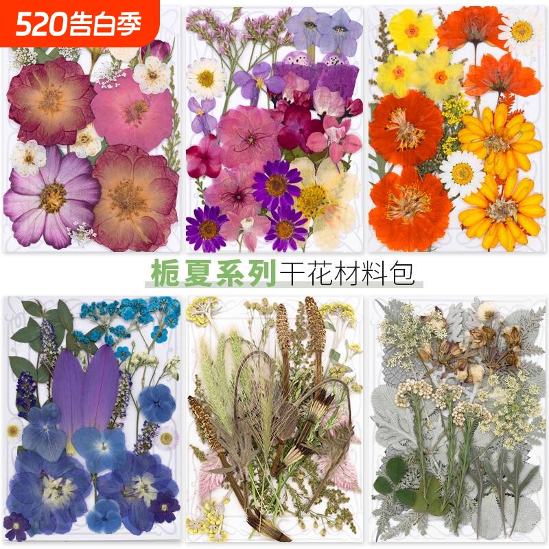 DIY手机壳花瓣妆滴胶干花包杯垫真树叶干花材料包贴画植物标本