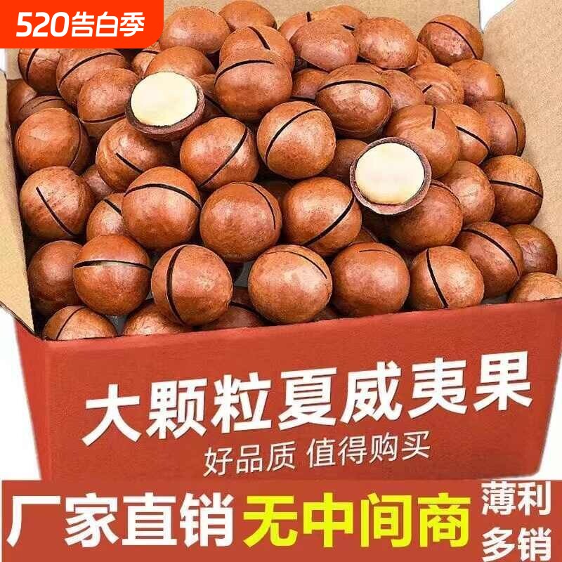 夏威夷果坚果2025年新货原味干果整箱零食年货健康果仁吃货大颗粒