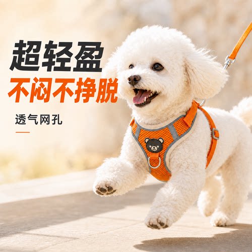 背心款小型犬牵引绳|千人加购