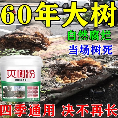 树灭粉大树烂根强力枯树王烂根除大树专用药强力腐树根一滴死w