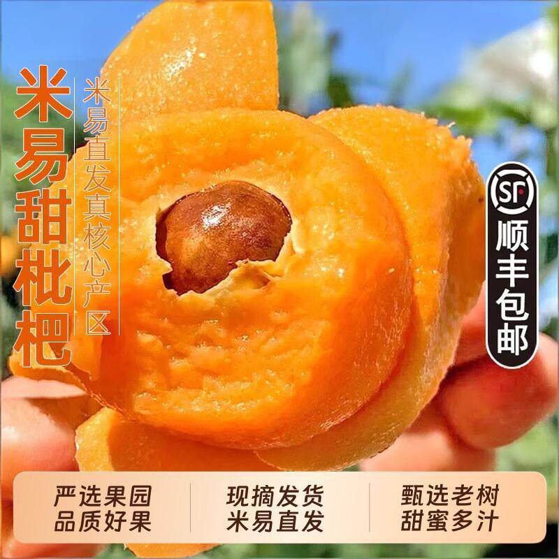 正宗四川攀枝花米易枇杷5斤新鲜水果当季琵琶现摘树上熟整箱甜