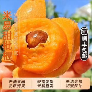 正宗四川攀枝花米易枇杷5斤新鲜水果当季琵琶现摘树上熟整箱甜
