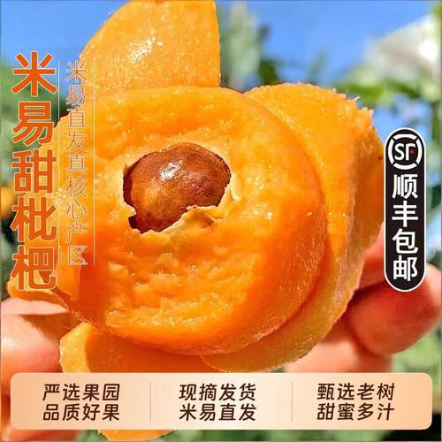 正宗四川攀枝花米易枇杷5斤新鲜水果当季琵琶现摘树上熟整箱甜