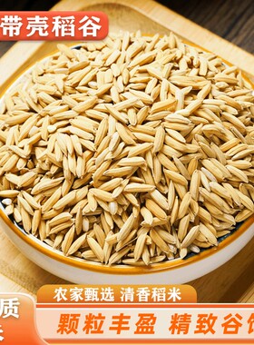 农家水稻谷子带壳大米新稻谷喂鸡鸭鹅仓鼠鸽鸟宠物饲料杂粮食玉米