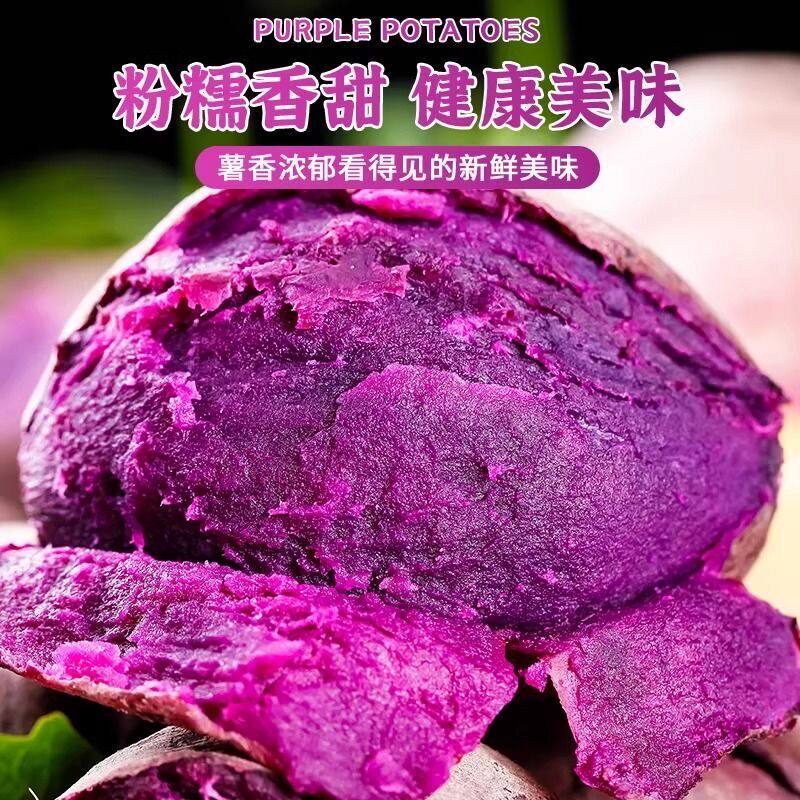 沙地现挖新鲜紫薯紫色红薯紫罗兰地瓜新鲜蔬菜粗粮/3/5/9斤