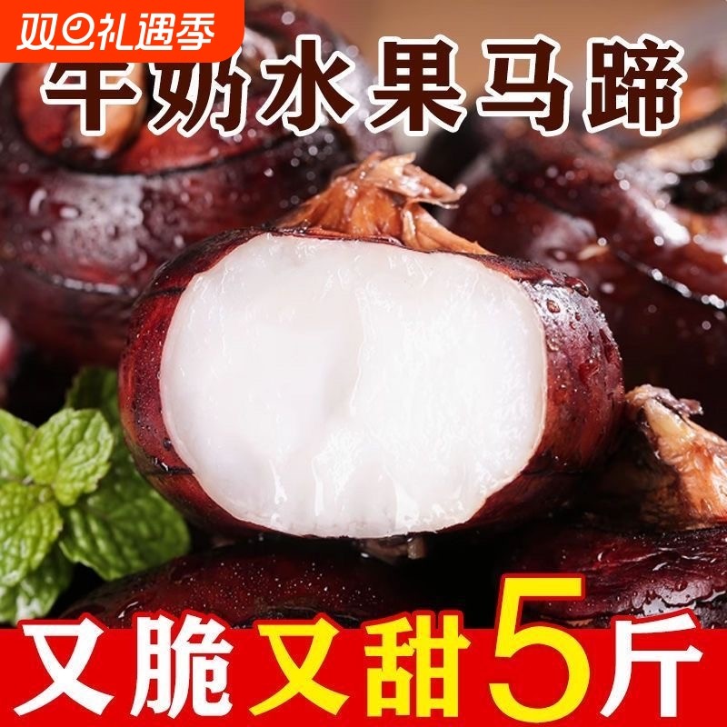 新鲜马蹄荸荠大果3斤5斤生吃水果蔬菜当季现挖荸荠脆甜爽口多汁