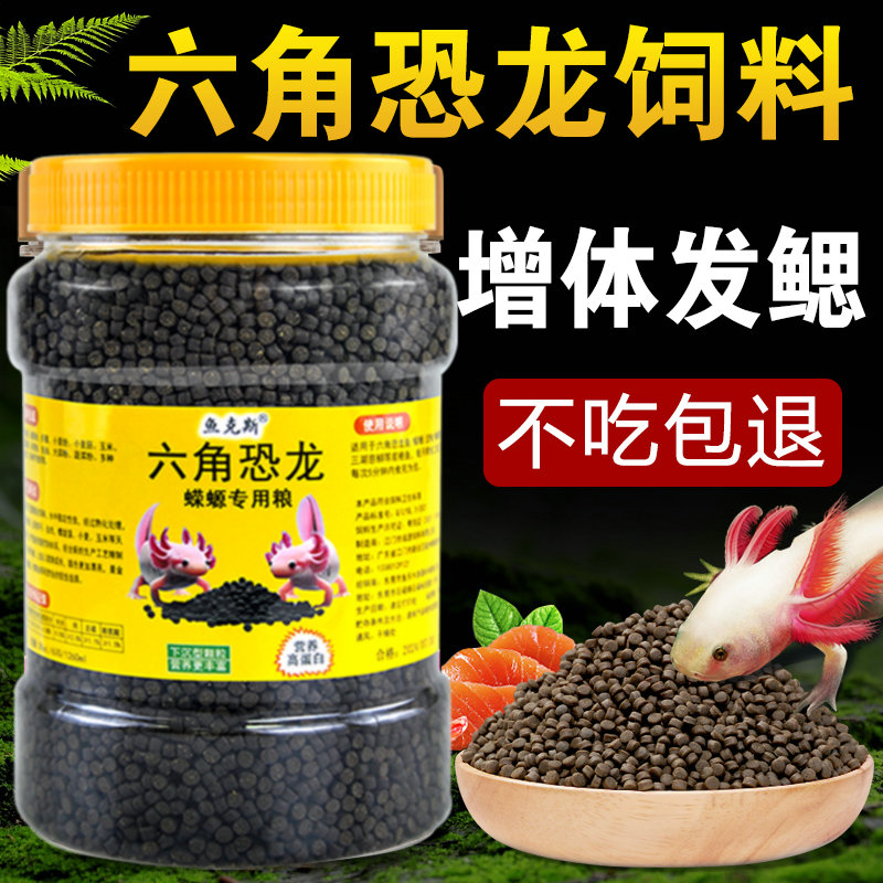 蝾螈六角恐龙鱼饲料六角龙高蛋白方下沉底型鱼食粮饲料宠物专用