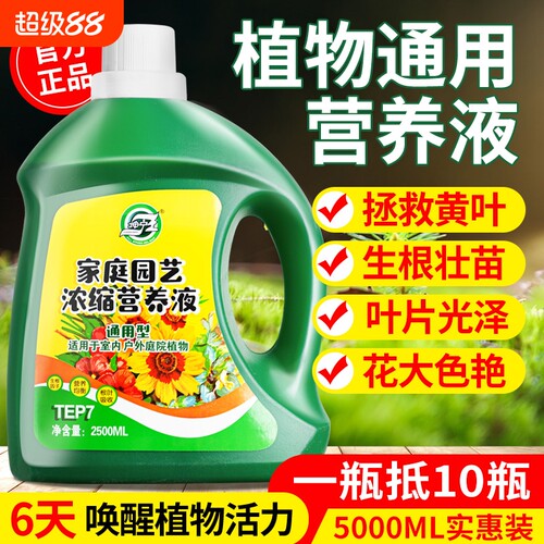 【园艺师推荐】植物营养液卉养花