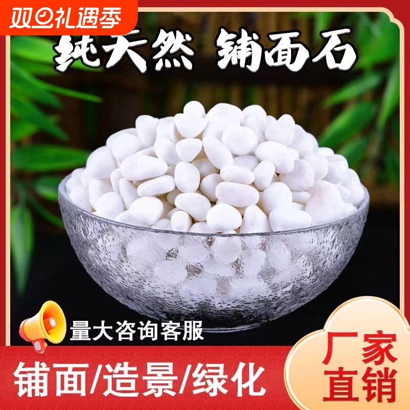 鹅卵石雨花石小白石子多肉铺面盆栽花盆庭院鱼缸造景装饰白色石头