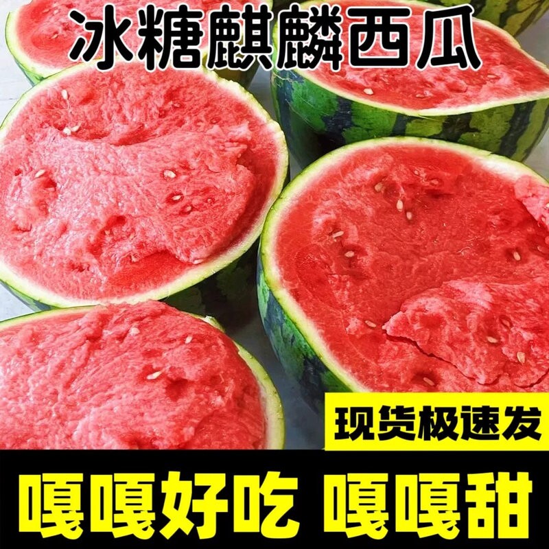 新鲜水果正宗冰糖麒麟西瓜甘甜应季现摘现发整箱包邮批发无籽有籽