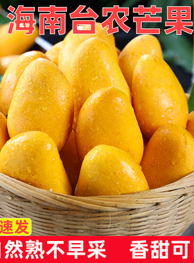 海南小台农芒果10新鲜小台芒当季特产水果现摘芒果大果整箱包邮