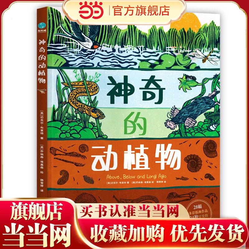 神奇的动植物：英国自然历史博物馆联名出版的艺术级儿童自然科普，送给6-12岁孩子的绝美礼物！带孩子探索自然科学、梳理地球生