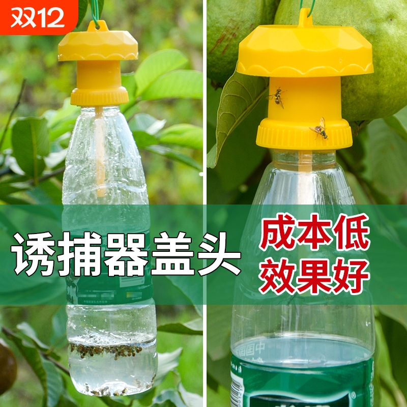 瓜果针锋瓜蝇诱引捕捉诱剂果蝇药