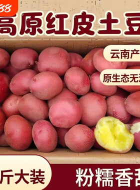 精选迷你小土豆新鲜9斤农家自种蔬菜现挖红皮小马铃薯小洋芋包邮