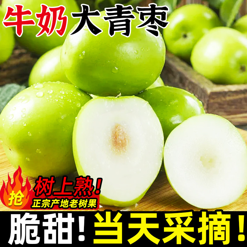 礼盒 福建漳州牛奶大青枣新鲜水果包邮当季贵妃鲜枣苹果蜜枣冬枣,水产肉类/新鲜蔬果/熟食,枣,淘宝优惠券,粉丝福利购,淘宝优惠卷