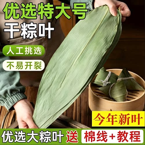 特大号干粽叶今年新叶新鲜包粽子