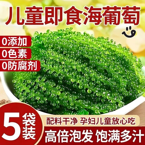 海葡萄即食儿童盐渍海带新鲜水葡萄蔬菜绿色鱼子酱海藻爆珠健康