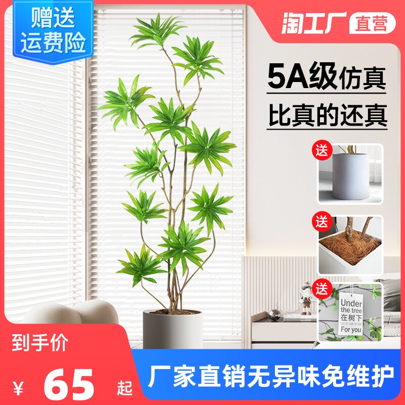 百合竹仿真绿植大型室内仿生客厅高端轻奢假植物装饰落地摆件防真怎么样,好用不?
