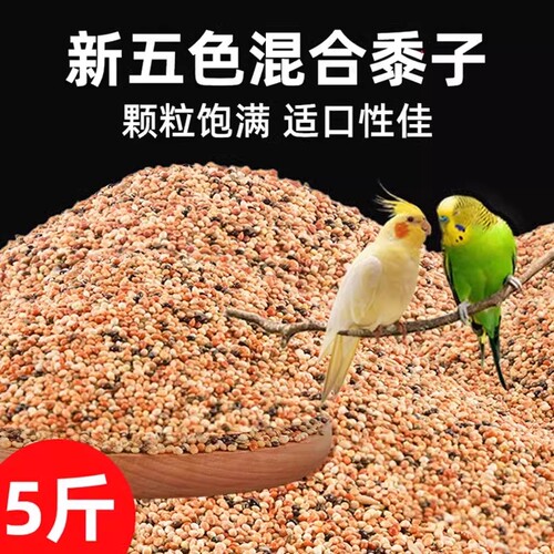 冠之亚鹦鹉饲料5斤|千人回购