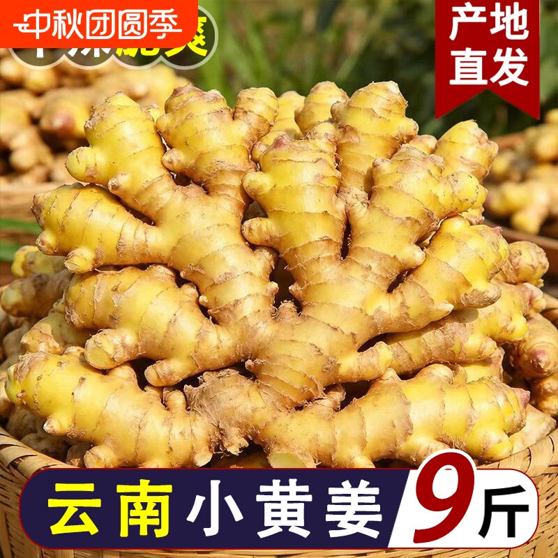 9斤云南小黄姜生姜老姜农家批发土姜现挖新鲜高山沙姜月子姜包邮图片