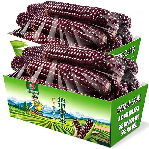 西双版纳香糯拇指小玉米新鲜