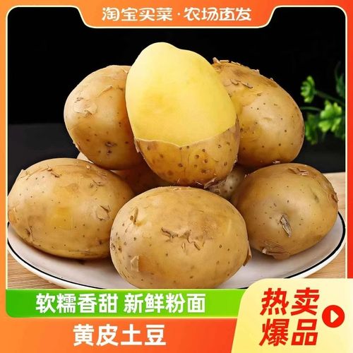 新鲜现挖黄皮黄心土豆马铃薯优质香甜洋芋优选农场直发