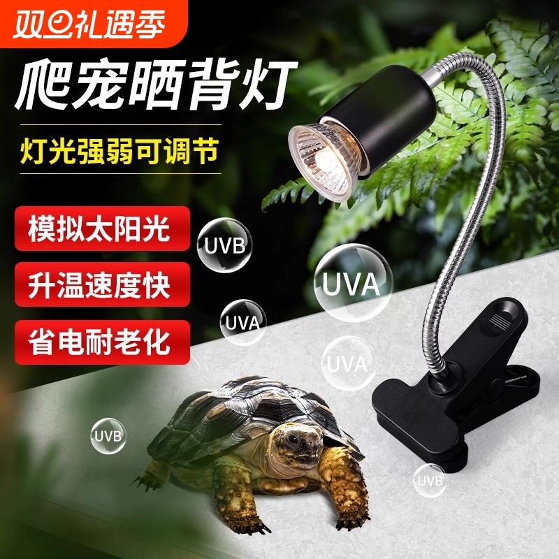 乌龟晒背灯uvauvb加热保温太阳灯龟灯泡灯架陶瓷养殖螺口软管植
