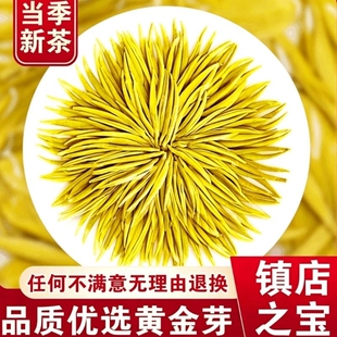 黄金芽茶叶2026年新茶正宗头采嫩芽春茶一级绿茶礼盒装口粮茶散装