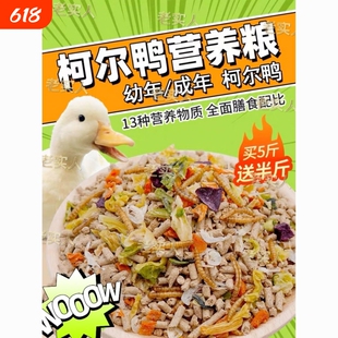 柯尔鸭饲料鸭子粮食面包虫鱼干小的开口粮营养可达鸭混合育雏制粒