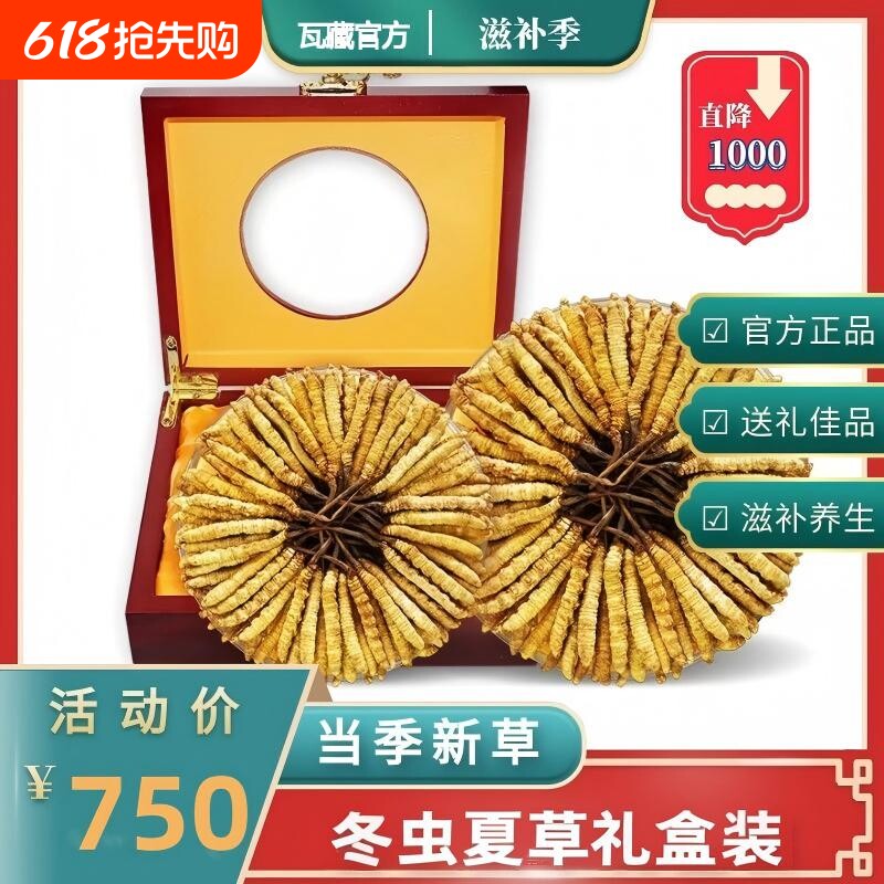 冬虫夏草正品正宗虫草整草头期干货非那曲西藏断草养生滋补礼盒装