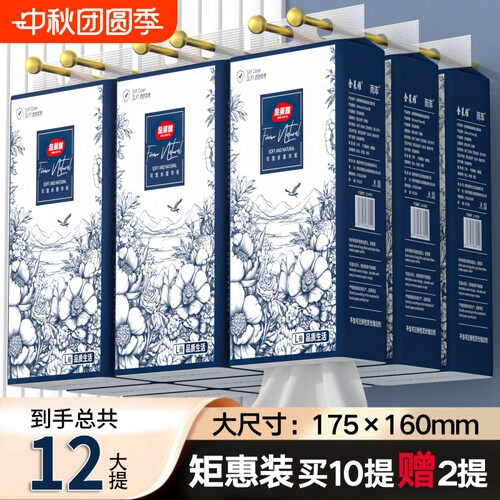 加大尺寸悬挂式抽纸10提送2提【送3个挂钩】纸巾实惠装卫生纸原生