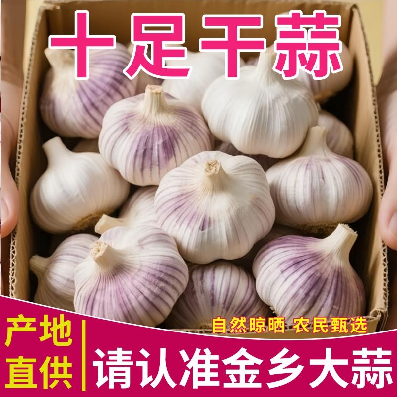 【便宜好货】山东紫皮干蒜蒜新鲜紫白皮多瓣蒜农家干蒜头蒜瓣批发