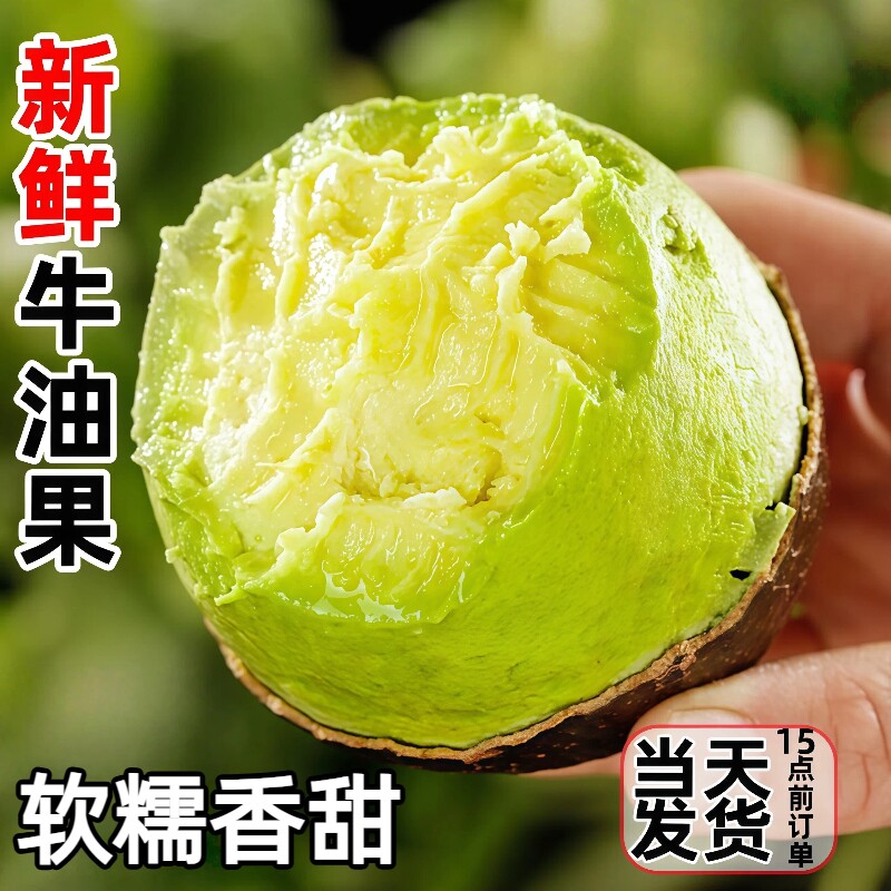 当季牛油果新鲜水果大果15个当季整箱包邮软糯孕妇可食一级鳄梨