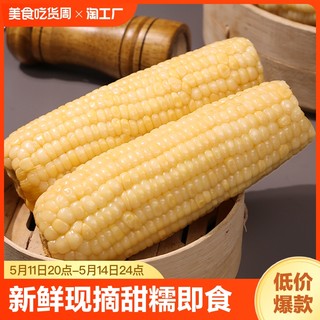 白玉米新鲜现摘甜糯玉米黏玉米即食黏玉米棒220g/粒