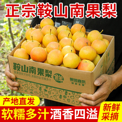 正宗鞍山南果梨东北特产新鲜应季水果小南国梨整箱包邮农场直发