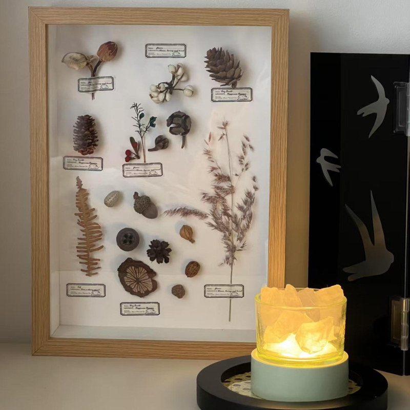 数字油画相框diy标本框手工钻石衍纸果实七夕礼品正方形黏土贝壳