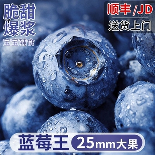 现摘蓝莓鲜果花香蓝莓野生蓝莓新鲜水果怡颗梅l25大果整箱顺丰